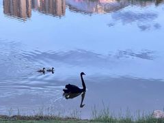 -梅州天地人花园酒店(梅县人民广场店)