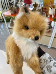 -IMON·HANSA潮玩玩偶毛绒玩具(通州万象汇店)