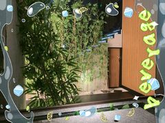 -新紫霞养生·影院足道·SPA(金山区店)