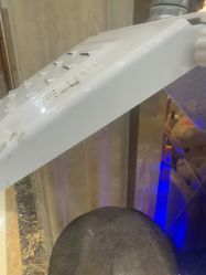 -碧莲盛·不剃发植发