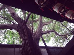 -文儒九号·闽菜馆(三坊七巷店)