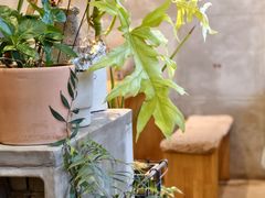 -青莯_Percher Coffee Shop(皮市街店)