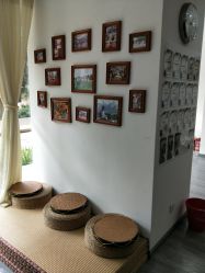 -榕树上·瑜伽普拉提