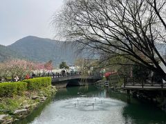 -树山生态村