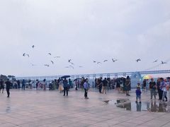 -星海湾跨海大桥