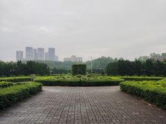 -南沙蒲洲花园