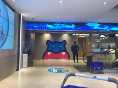 -盒马鲜生(大成店)