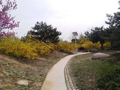 -济南国际园博园