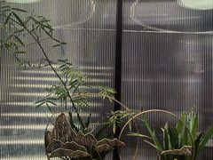 -湖畔鲁菜·二十年老字号餐厅(大明湖店)