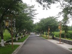 -长田漾湿地公园