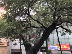 -铜锣湾国际购物中心