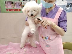 -北京观赏动物医院·24小时大型综合·猫专科·异宠专科