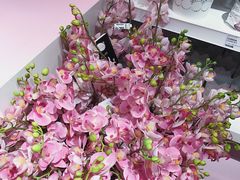 -宜家家居(哈尔滨商场店)