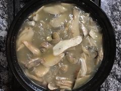 -蘑统田下·野生菌火锅