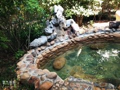 -深业半汤御泉庄温泉