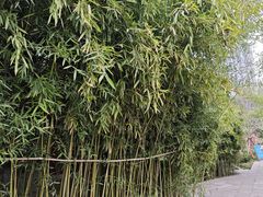 -万寿八仙宫