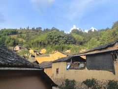 -杨家堂村