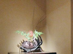 -觀芷隐轩