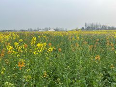 -中国天府农业博览园