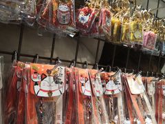 -猫咪博物馆(顶澳仔猫街店)