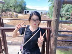 -青藏高原野生动物园