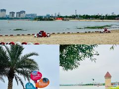 -九龙湖公园