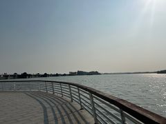-贡湖湾湿地公园