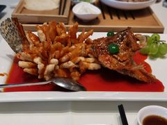 -松鹤楼(狮山永利广场店)