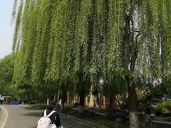 -石家庄市植物园