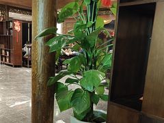 -顺兴老茶馆·精品川菜(世纪城店)