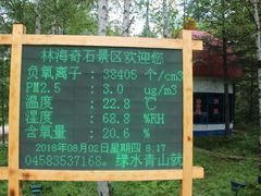 -汤旺河林海奇石景区