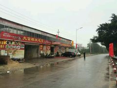 -八仔大富楼·河鲜(西江店)