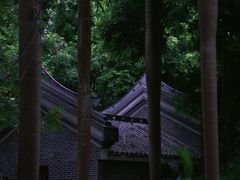 -南宁南湖公园