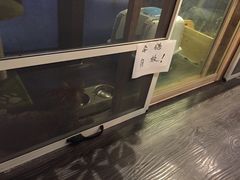 -吉丁鸟咖·异宠·寄养