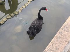 -无锡动物园·太湖欢乐园