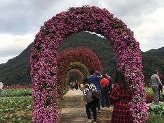 -广州市石门国家森林公园