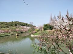-苏州上方山国家森林公园