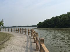 iphone_upload_pic-上海海湾国家森林公园