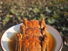 -七的湖·晚芳亭·阳澄湖农家菜·大闸蟹(莲花岛店)