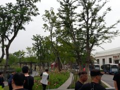 -上海长兴岛郊野公园