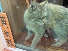 -青藏高原野生动物园