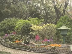 -秋霞圃
