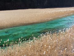 -九寨沟-树正沟