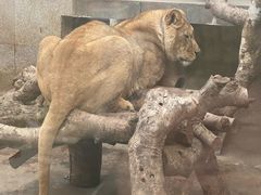 -西安秦岭野生动物园