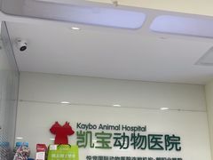 -悦宠凯宝动物医院·牙科·皮肤科(朝阳北路店)