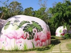 -漳州滨海火山岛自然生态风景区