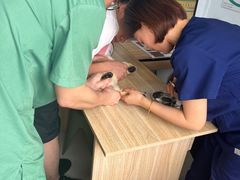 -派美特宠物医院·核磁CT·骨科肿瘤·疑难转诊(沈农禾丰店)