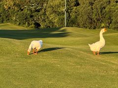-银涛高尔夫练习场(徐泾店)