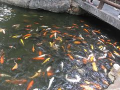 -珠海圆明新园