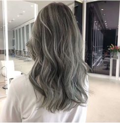 点击看大图 -金棕榈